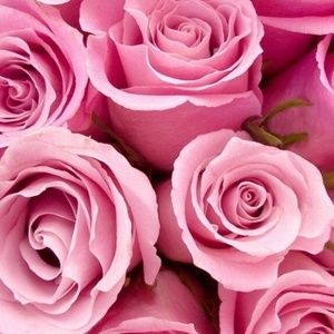 Shop my closet for some great deals.